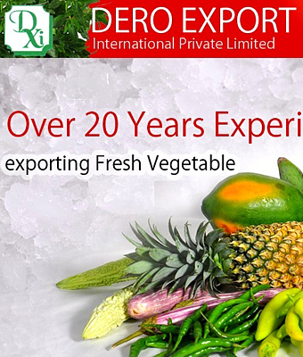 Web Designing Company - Sri Lanka