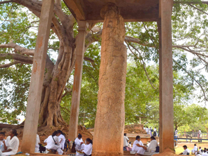 Sri Lankan Sceneries - Anuradhapura Ruwanweli Seya